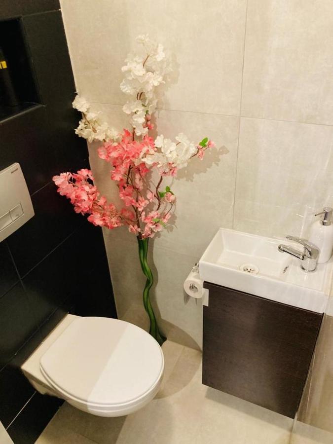 Apartamenty Every Sky Plac Ratuszowy 30 Jelenia Góra Zewnętrze zdjęcie